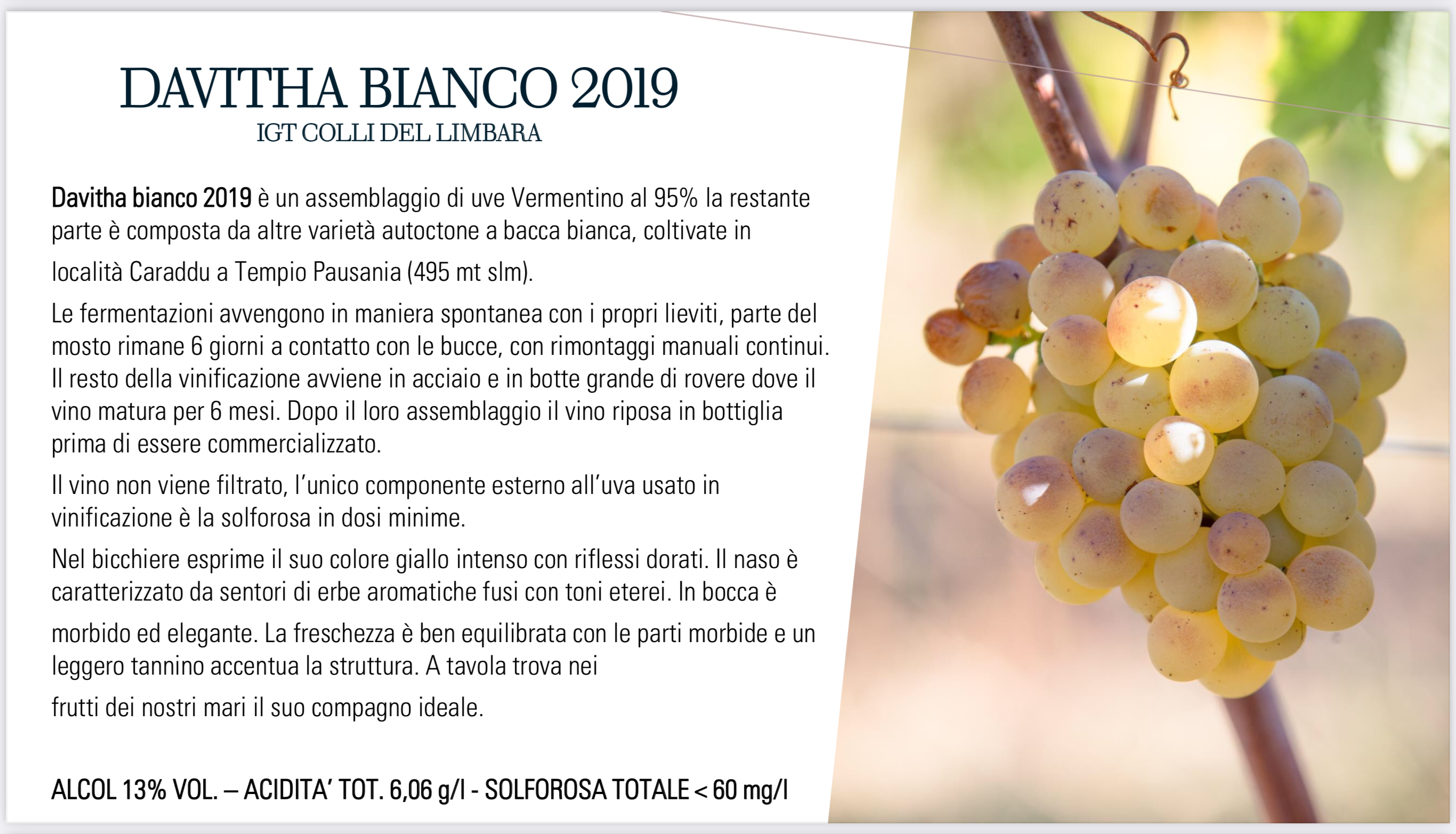Davitha Bianco 2019
